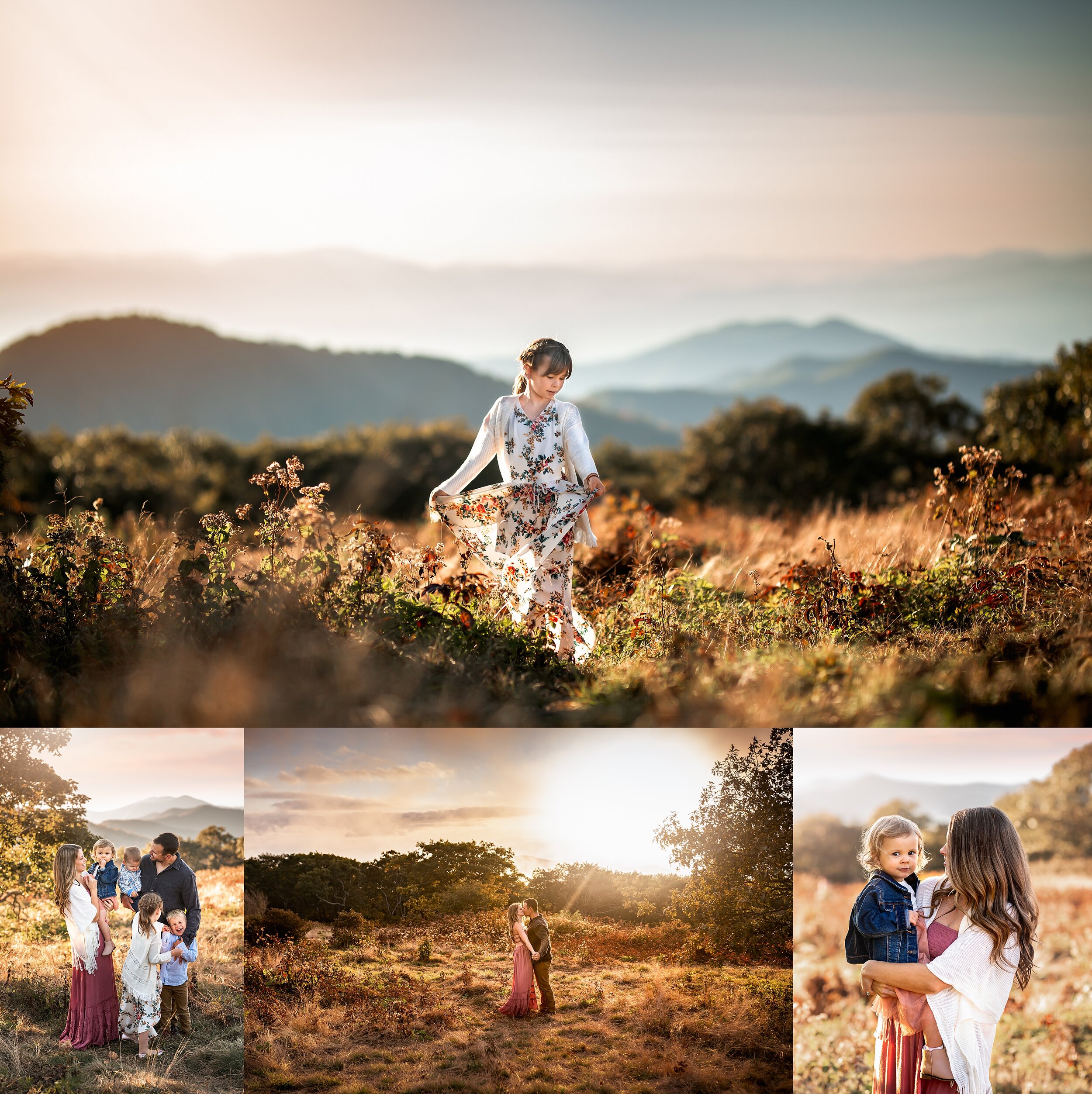 Family Session at Craggy Gardens
