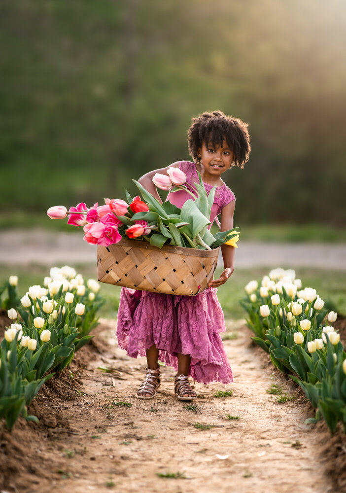 Little girl with basket of tulips - Asheville family photography 