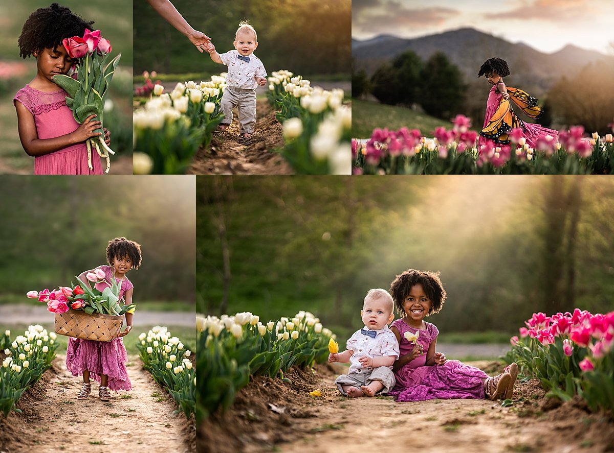 Little girl playing in the tulips - family photographer in Asheville NC