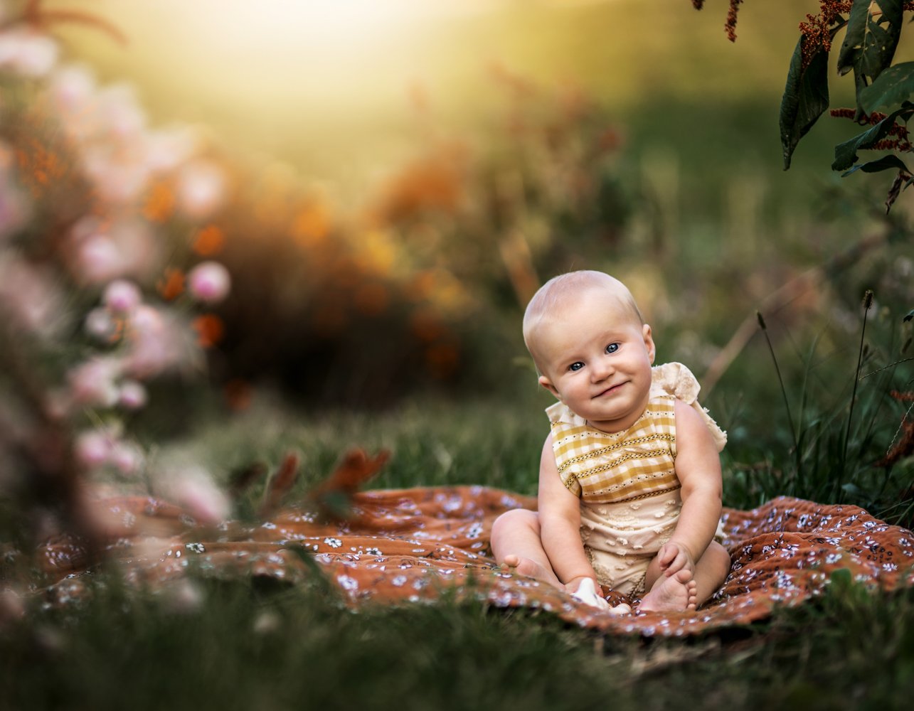 asheville baby photographer.jpg