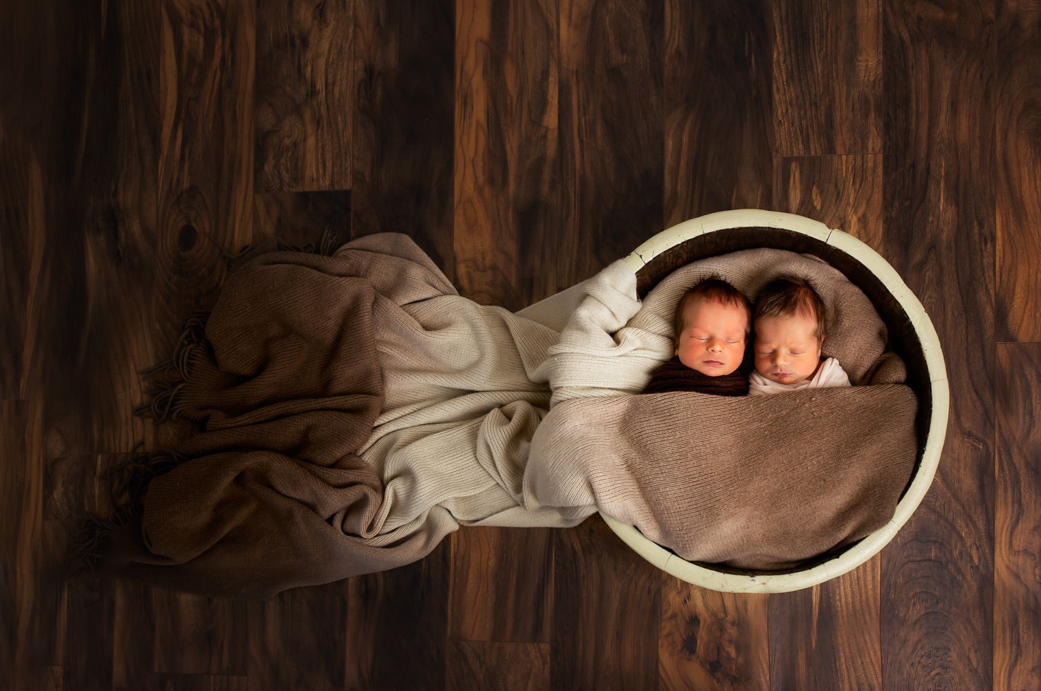 newborn twin photographer asheville.jpg