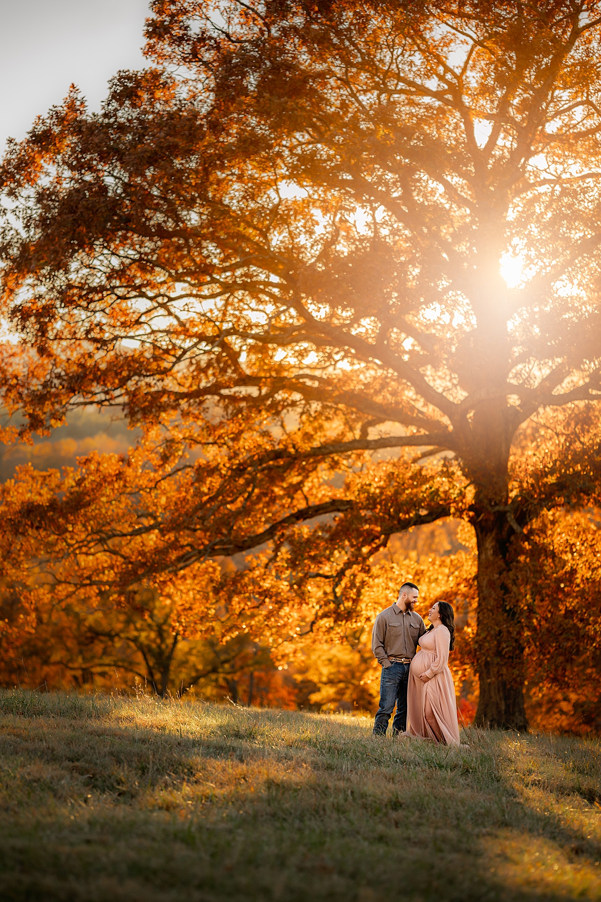 Expecting couple standing beneath a giant tree at sunset in Ashevill NC