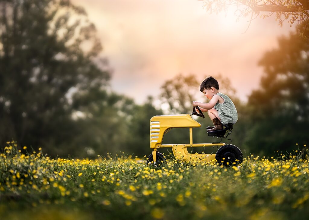 A little boy sits on a vintage yellow toy tractor in a field of yellow flowers near Asheville, NC