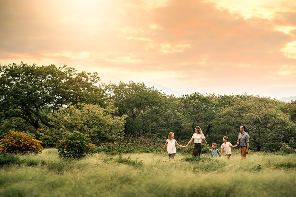 A family walks in a field of tall grass holding hands as the sunsets in an orange sky behind them. Artful Family Photos in Asheville, NC