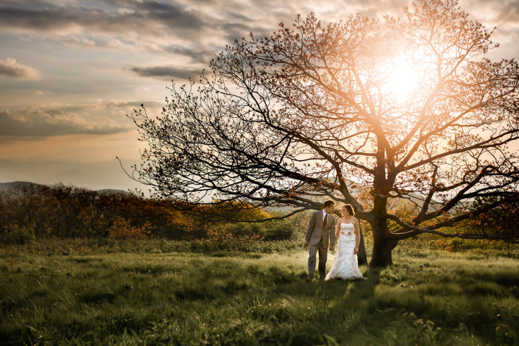 A bride and groom at sunset at Craggy Gardens with a large tree behind them as captured by an Asheville Elopement Photographer